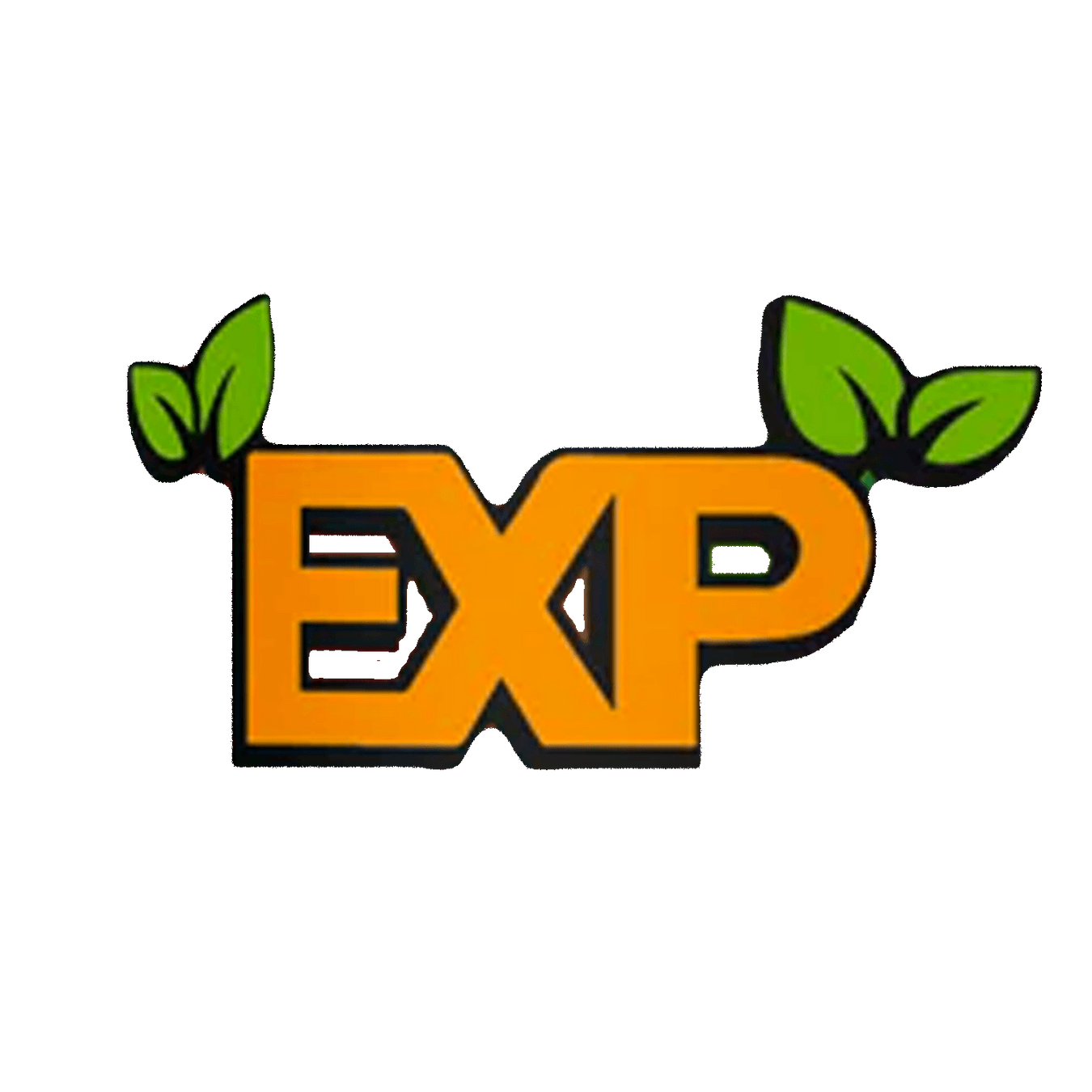 EXP - Day N Night | CBD, Kratom, Nootropic, Vape, Smoke, Head Shop