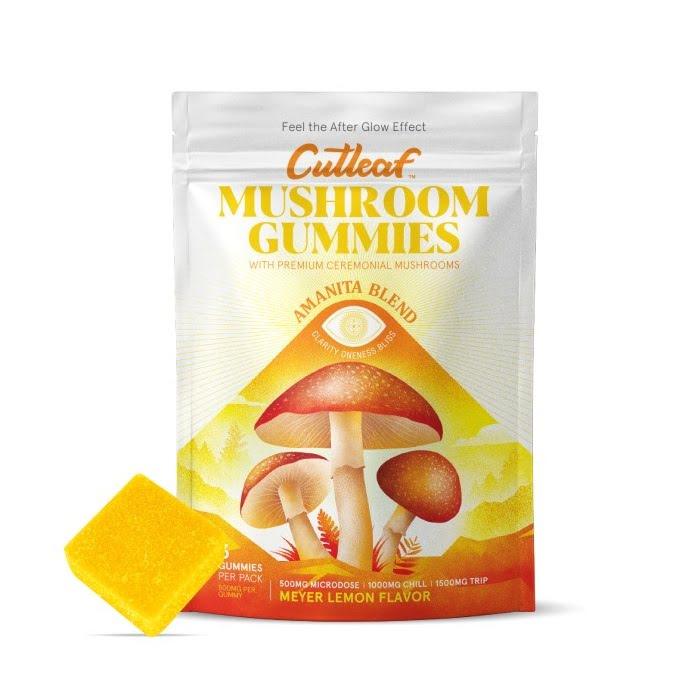 Cutleaf Mushroom Gummies - Day N Night | CBD, Kratom, Nootropic, Vape, Smoke, Head Shop